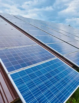 901b431f3045fa78cf8e438ec2df69f0a6f67274